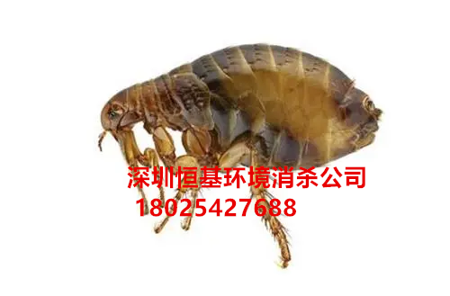 微信图片_20230210101024.png