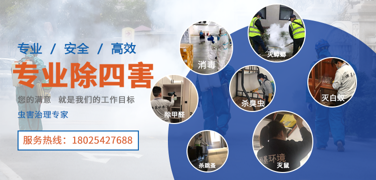 消杀公司