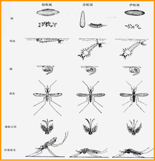 除四害